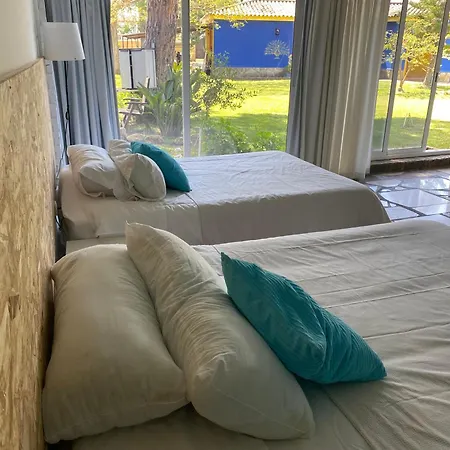 Jacaranda Accommodatie bij particulieren Cádiz
