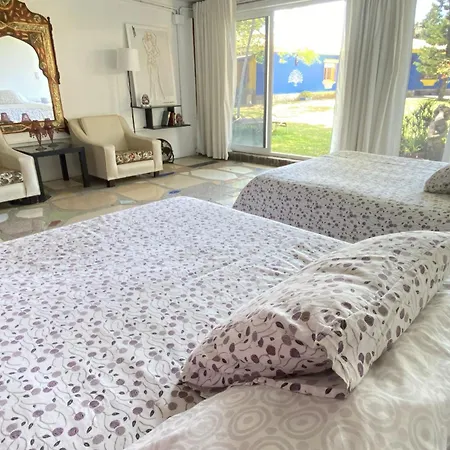 Jacaranda Ubytování v soukromí Cádiz