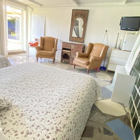 Accommodatie bij particulieren Jacaranda Cádiz
